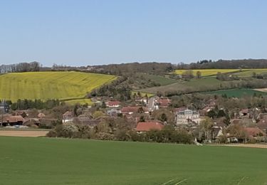 Tour Wandern Vauchassis - 05 Avril 2020 - Photo