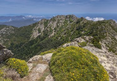 Tocht Te voet Marciana - Ferrata La Galera - Photo