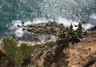 Trail Walking Tossa de Mar - Wikiloc - Tossa de Mar - Photo