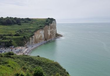 Trail Walking Sassetot-le-Mauconduit - boucle sassetot les dalles - Photo