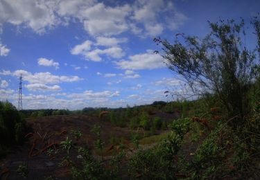 Tocht Mountainbike Charleroi - ransart floreffe - Photo