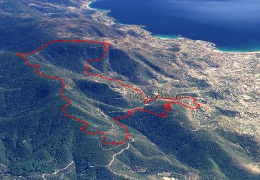 Percorso Marcia Bormes-les-Mimosas - SityTrail - Bormes les Mimosas - ND de Constance - Cols de Gratteloup et Landon - Photo