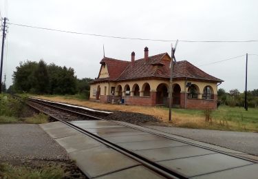 Randonnée A pied Kecskemét - ZL (Kecskemét belsőnyír) - Photo