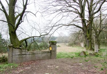 Tour Zu Fuß Hirschfeld - Grenzsteinweg - Photo