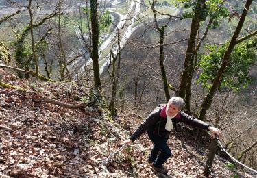 Trail Walking Nances - MONTAGNE DE L'EPINE: COTES DE NANCES - Photo