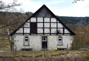 Randonnée A pied Horn-Bad Meinberg - Rundwanderweg A4 [Feldrom] - Photo