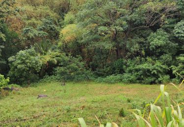 Percorso Marcia Les Anses-d'Arlet - Anse du four vers anse noire par Gallochat. (A) - Photo