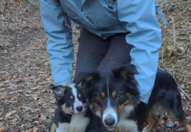 Trail Walking Gorze - GORZE 10KM  - Photo