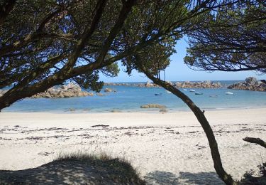 Trail Walking Kerlouan - le littoral de Kerlouan  - Photo
