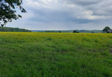 Tocht Stappen Marchin - marchin - Photo