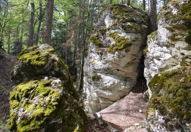 Tocht Te voet Albstadt - Traufgang Felsenmeersteig - Photo