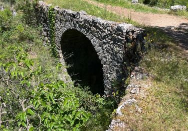 Trail sport Peillon - Haut de Peillln - Photo