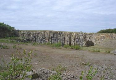 Trail On foot  - Ringebakkerne - Photo