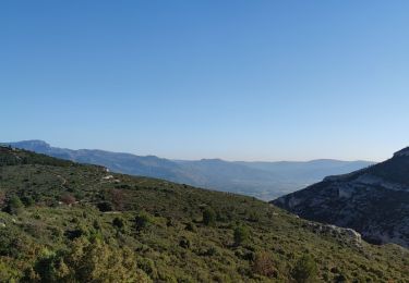 Tocht Mountainbike Peypin - Peypin - Plan de Cuques - Photo