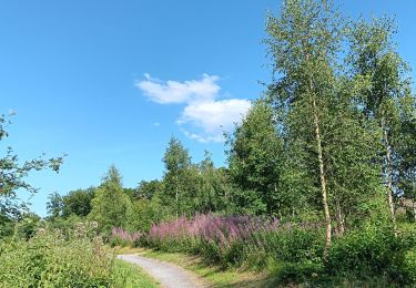 Tocht Stappen Luik - deuxième sortie de qwadrifyon  - Photo