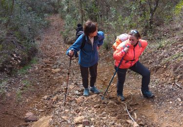 Tocht Stappen Mandelieu-la-Napoule - Esterel forestiere  - Photo