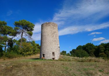 Randonnée Marche Tauxigny-Saint-Bauld - Malabry - Tauxigny chemin des Moulins - 12.4km 160m 3h00 - 2020 09 07 - Photo