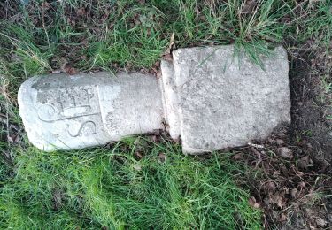 Tocht Stappen Vergigny - BORNE ZC11 - Les Baudières 30012024 - Photo