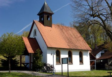 Percorso A piedi Weisendorf - Weisendorfer Rundwanderweg 4 - Photo