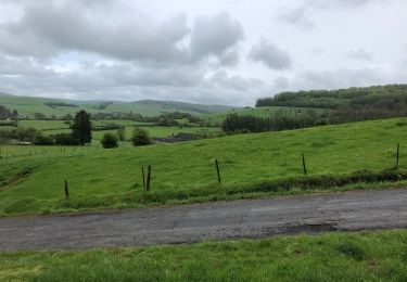 Trail Walking Virton - La Charmouthienne_boucle_Gomery_15 km_2019-04-28 - Photo
