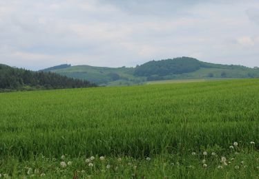 Percorso A piedi Poppenhausen - Abtsroda - Rhön-Rundweg 7 - Photo