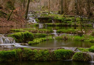 Randonnée A pied Greding - Greding 5 - Photo