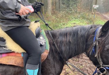 Percorso sport Badonviller - Kalio joyeux  - Photo