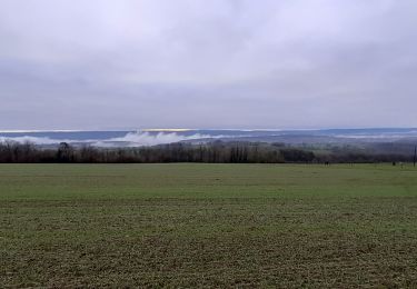 Tour Wandern Durbuy - Oneux ac 2 - Photo