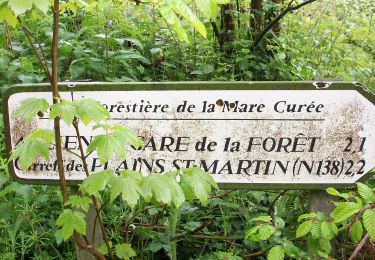 Tour Wandern La Londe - 20230509-La Londe - Photo