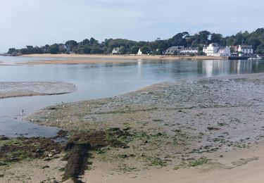 Trail Walking Guidel - PR_56_Guidel_BA_02_Entre-Loch-Et-Laita_Circuit3b_20231004 - Photo