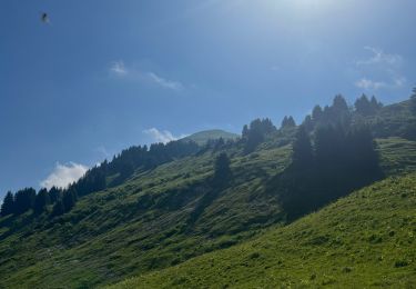 Trail Walking Samoëns - La tête de Bostan - Photo