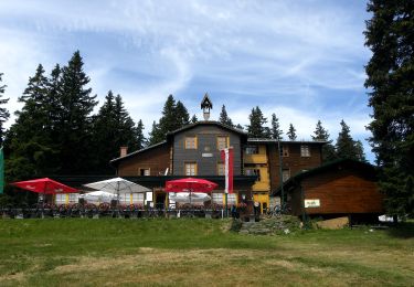 Tour Zu Fuß Gemeinde Aspangberg-St.Peter - Bleu - Photo