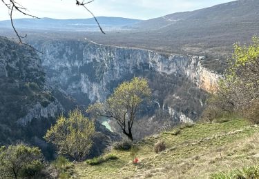 Trail Walking La Palud-sur-Verdon - Sentier Blanc Martel - Photo