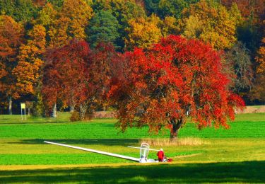 Tocht Te voet Straubenhardt - Nordic-Walking-Route 2 - Heubuckel-Route - Photo