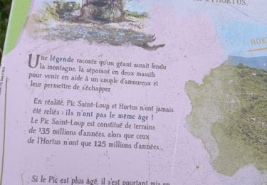 Tour Wandern Viols-le-Fort - 34 le sommet de l'ouradou 08/05/25 - Photo