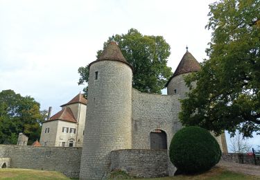 Tocht Stappen Les Trois-Châteaux - l aubepin  - Photo