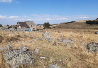 Tocht Stappen Saint-Chély-d'Aubrac - GR670 je Les Rajat - Photo