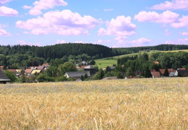 Trail On foot Südharz - roter Balken - Photo