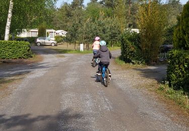 Percorso Marcia Balen - baelen rox et sylou - Photo