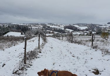 Percorso Mountainbike Rozier-en-Donzy - neige dimanche 28 novembre  - Photo