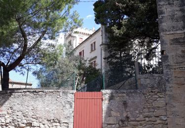 Excursión Bicicleta híbrida Pézenas - pezenas vieux pont romains  - Photo