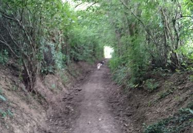 Trail Walking Kelmis - La Calamine Welky  - Photo