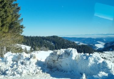 Randonnée Raquettes à neige Borée - les estables sortie 4 - Photo