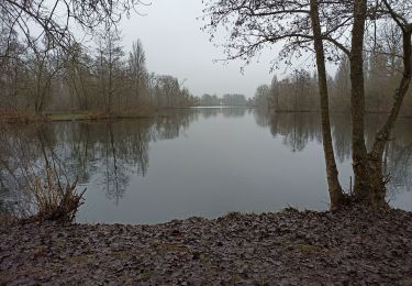 Percorso Marcia Biache-Saint-Vaast - Biache  - Photo