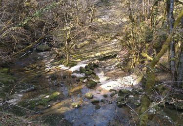 Excursión Senderismo Coteaux du Lizon - St Lupicin Les Tureys - Photo