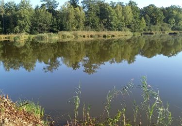 Tour Elektrofahrrad Jolivet - sortie vtt 07092023 - Photo