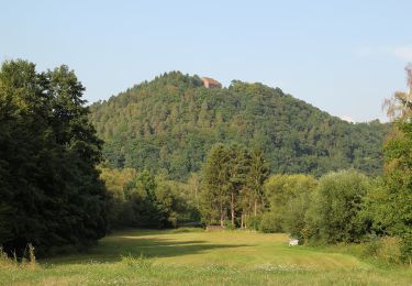 Tour Zu Fuß Amorbach - Rundwanderweg Amorbach Amorsbrunn 3: Otterbach-Weg - Photo