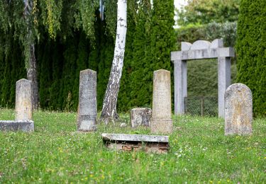 Tocht Te voet Bad Tatzmannsdorf - Lauf/Walkingweg L19 - Photo