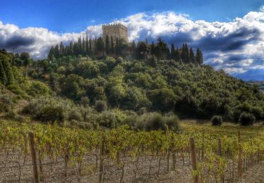 Percorso A piedi San Quirico d'Orcia - IT-PVO5 - Photo