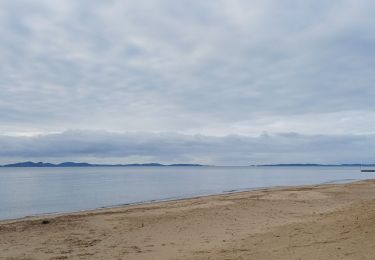 Tour Wandern La Londe-les-Maures - Plage de L'Argentière ~ Fort de Brégançon - Photo